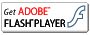 flash player